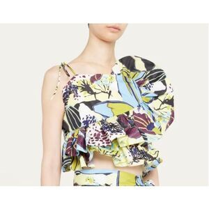 Tanya Taylor Claudette Asymmetrical Ruffle Peplum Top Sz 8 Zesty Multi NWT $395